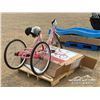 Image 3 : ADULT 6 SPEED TRICYCLE PARTS