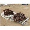 Image 1 : (2) MULTI RING SKIDDER TIRE CHAINS
