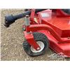 Image 13 : 62 IN. FARMKING 555 3PT HITCH MOWER