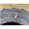 Image 5 : (5) MISC TIRES