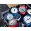 Image 6 : QUANTITY OF TEST GAUGES