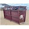 Image 1 : CATTLE SORTING ALLEY