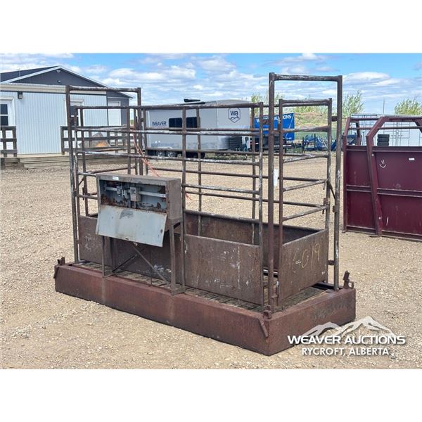 CATTLE WEIGHT SCALE