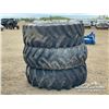 Image 4 : (3) 20.8-34 TIRES & (2) RIMS