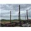 Image 15 : 2008 DOEPKER T/A SUPER B-TRAIN LOG TRAILERS