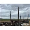 Image 16 : 2008 DOEPKER T/A SUPER B-TRAIN LOG TRAILERS