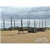 Image 1 : 2008 DOEPKER T/A SUPER B-TRAIN LOG TRAILERS