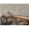 Image 12 : WBM 58 IN. CLEANOUT BUCKET