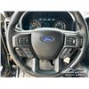 Image 16 : 2018 FORD F150 XLT CREW CAB PICKUP