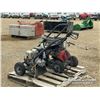 Image 4 : (2) PRESSURE WASHERS