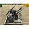 Image 5 : (2) PRESSURE WASHERS