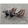 Image 3 : 72 IN. EXCAVATOR BRUSH RAKE