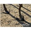 Image 6 : 3 PT CULTIVATOR