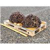 Image 16 : LOG GRAPPLE