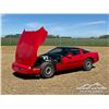 Image 7 : 1985 CHEVROLET 2 DOOR CORVETTE