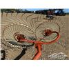 Image 12 : SITREX RP/5 3 PT 5 WHEEL HAY RAKE
