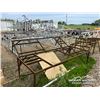 Image 3 : STEEL FRAMEWORKS