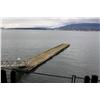 Image 1 : 10' X 140' Dock
