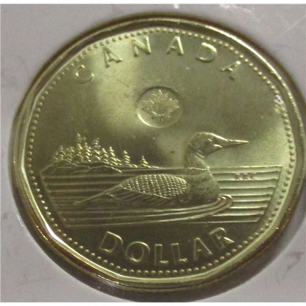 2024 CANADA MINT LOONIE