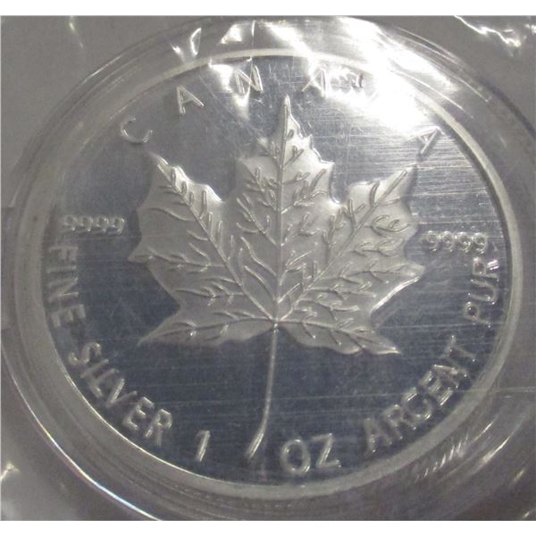 2013 CANADA $5 COIN (SOLD AS IS - NOT TESTED - SILVER CONTENT NOT VERIFIED)