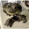 Image 2 : Ceramic Frog Fountain w/ 2 Frog Figurines, Misc Sizes (one chipped)