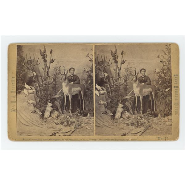 Mrs Maxwell Rocky Mountain Museum Stereoview