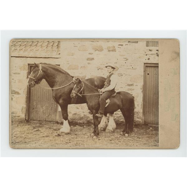 Occupational Draft Horse Breeder Cabinet Photo