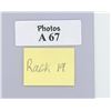 Image 3 : Occupational Draft Horse Breeder Cabinet Photo