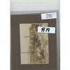 Image 8 : Lumber Yard Logging Sawmill Cabinet Photos