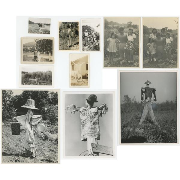 Collection of Scarecrow Photos