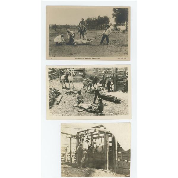 Cowboys Branding Cattle RPPC Postcards