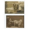 Image 1 : Children with Goat Cart RPPC Postcards