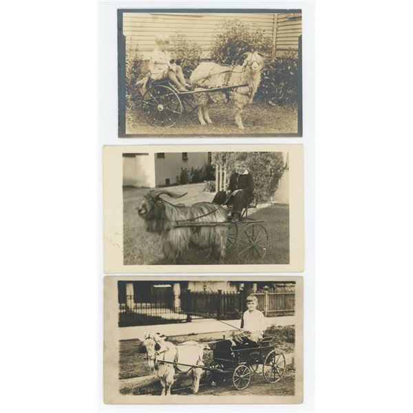 Children with Goat Cart RPPC Postcards