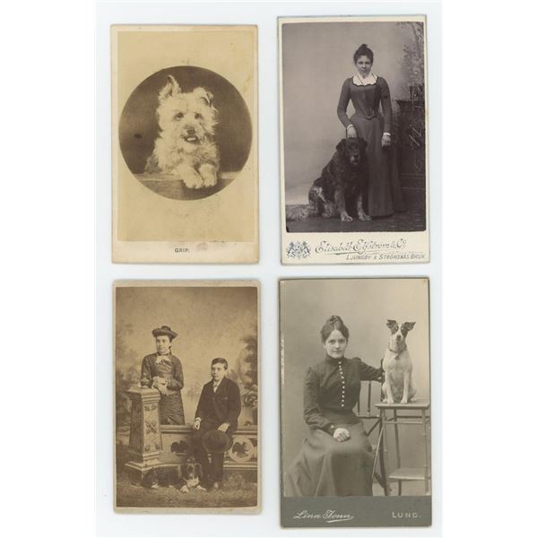 People with Pet Dogs CDV Photo Collection