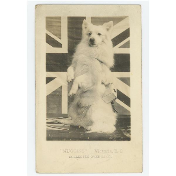 Muggins Red Cross Fundraising Dog RPPC Postcard