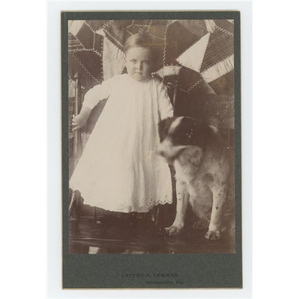 Pennsylvania Crazy Quilt Dog Cabinet Photo