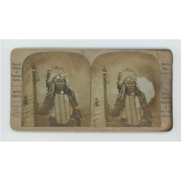 Bald Eagle Sioux Indian Stereoview