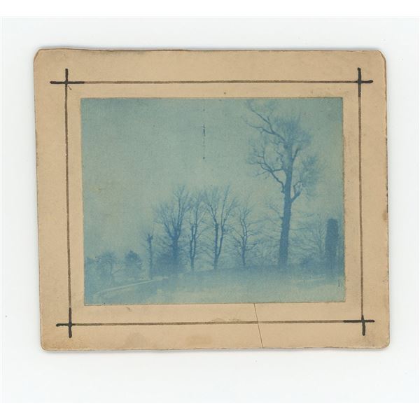 Cyanotype Cabinet Photo Trees in the Fog
