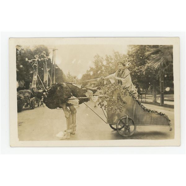 Pasadena California Ostrich Ranch RPPC Postcard