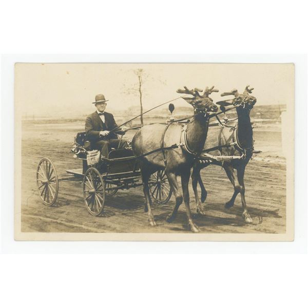 Chicago Illinois Elk Drawn Buggy RPPC Postcard