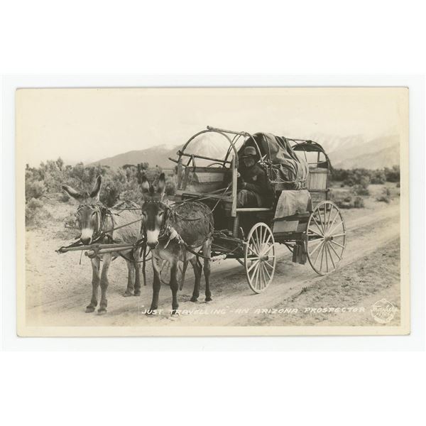 Arizona Prospector Mule Wagon RPPC Postcard