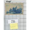 Image 3 : George Washington Painting Cyanotype Photos