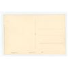 Image 2 : German Velodrome Race Track RPPC Postcard