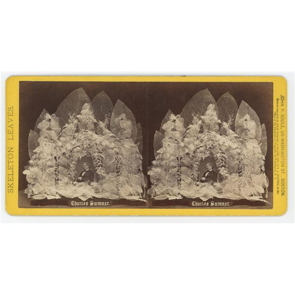 John Soule Post Mortem Steroview