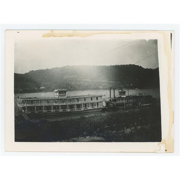 Frenchs New Sensation Showboat Photo