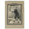 Image 1 : Early Baseball Player Photo