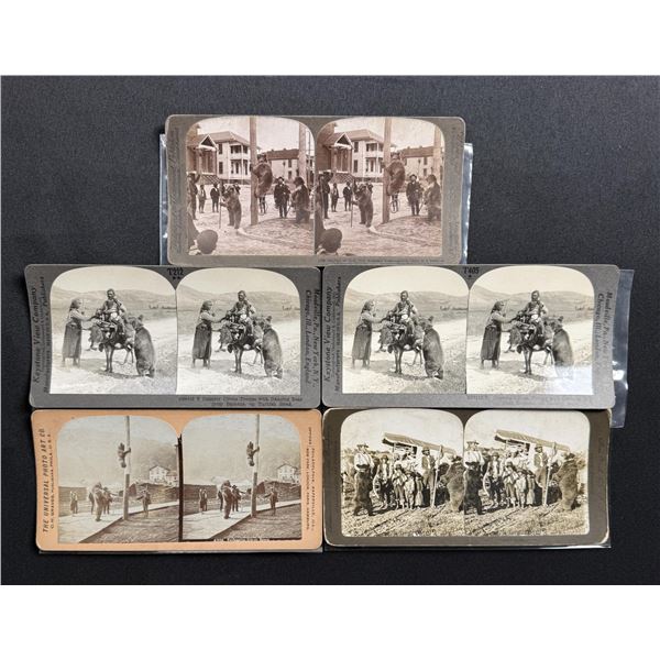 Collection of Acrobatic Bear Trainer Stereoviews