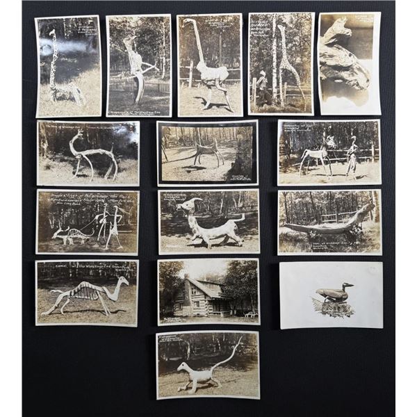 Wreckage Zoo Ocean Park Washington RPPC Postcards