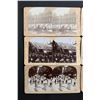 Image 2 : Patriotic Stereoview Collection