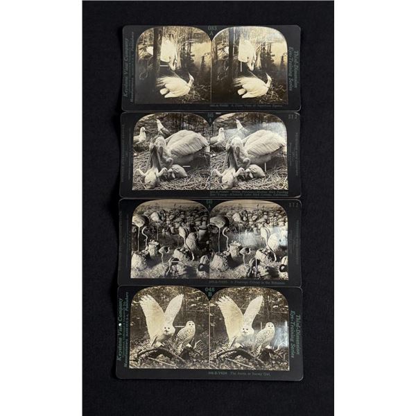 Keystone Third Dimension Eye Training Stereoviews